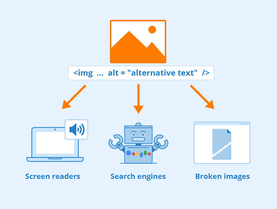 Usos del atributo ALT en la web. / Imagen: Seobility