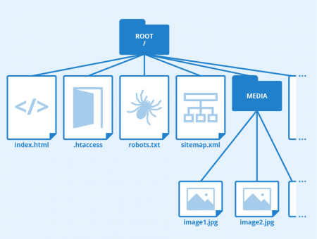 root directory