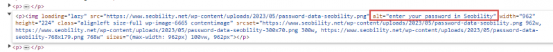 File:Alt-text-example-seobility-blog.png