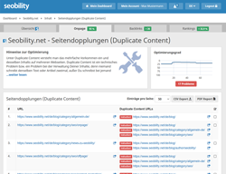 Duplicate Content Analyse