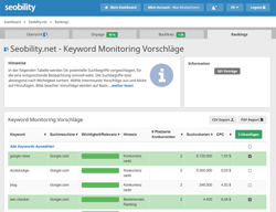 Individuelle Keyword Vorschläge für Ranking Überwachung