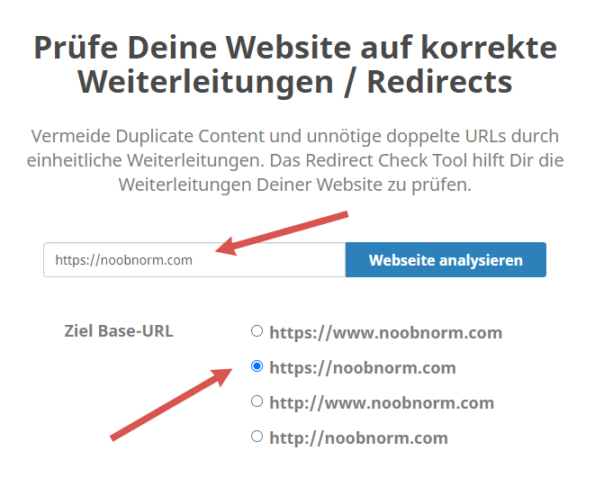 Seobility Redirect Check