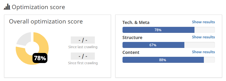 SEO audit score