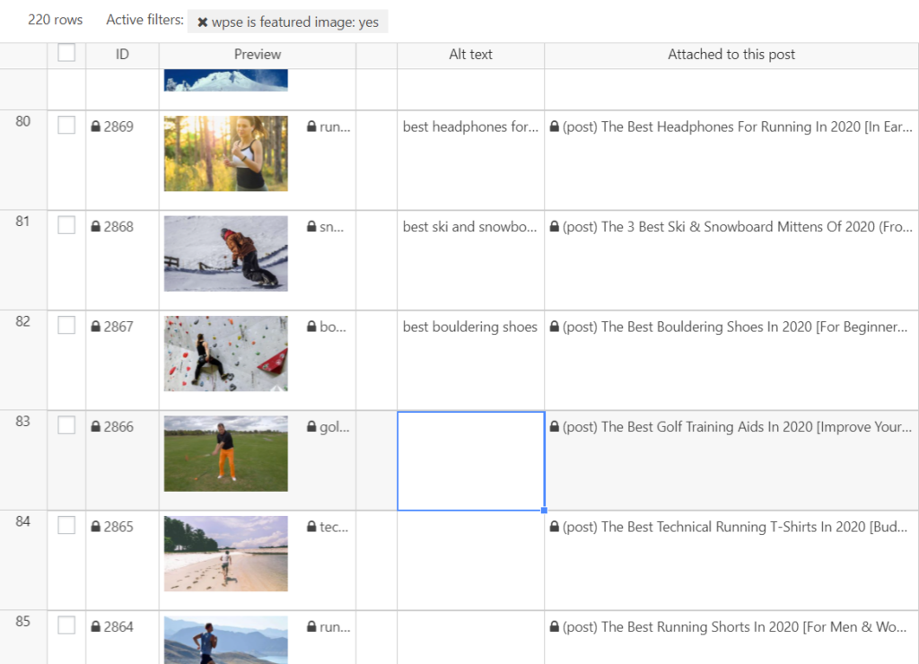 wp sheet editor featured image alt text