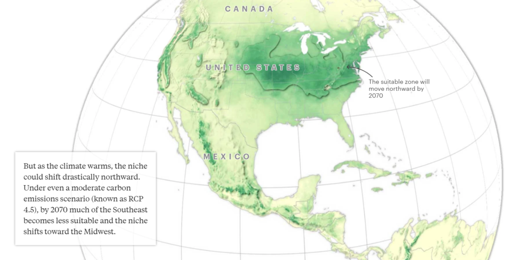 the future of climate change