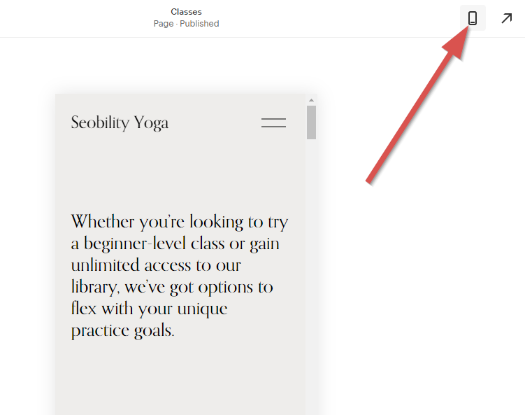 squarespace mobile view