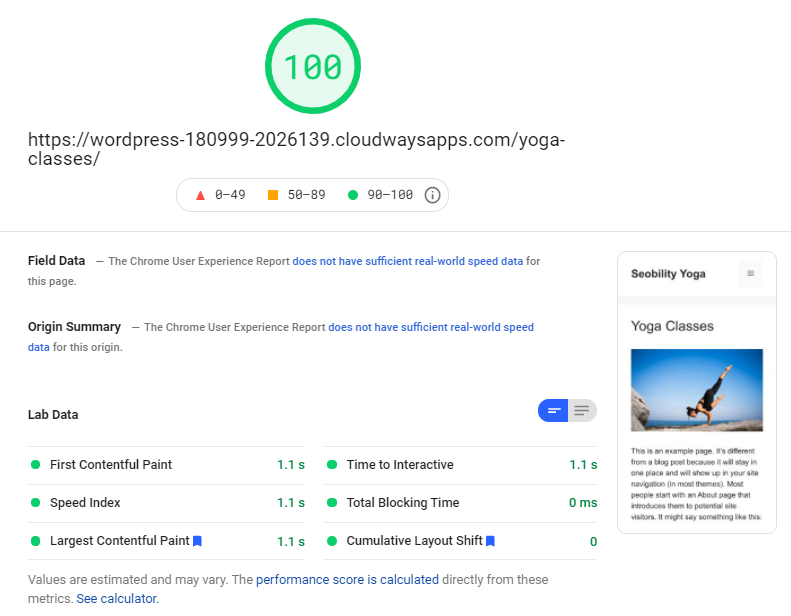 Pagespeed Insights Ergebnis ohne Caching oder weiteres Optimieren