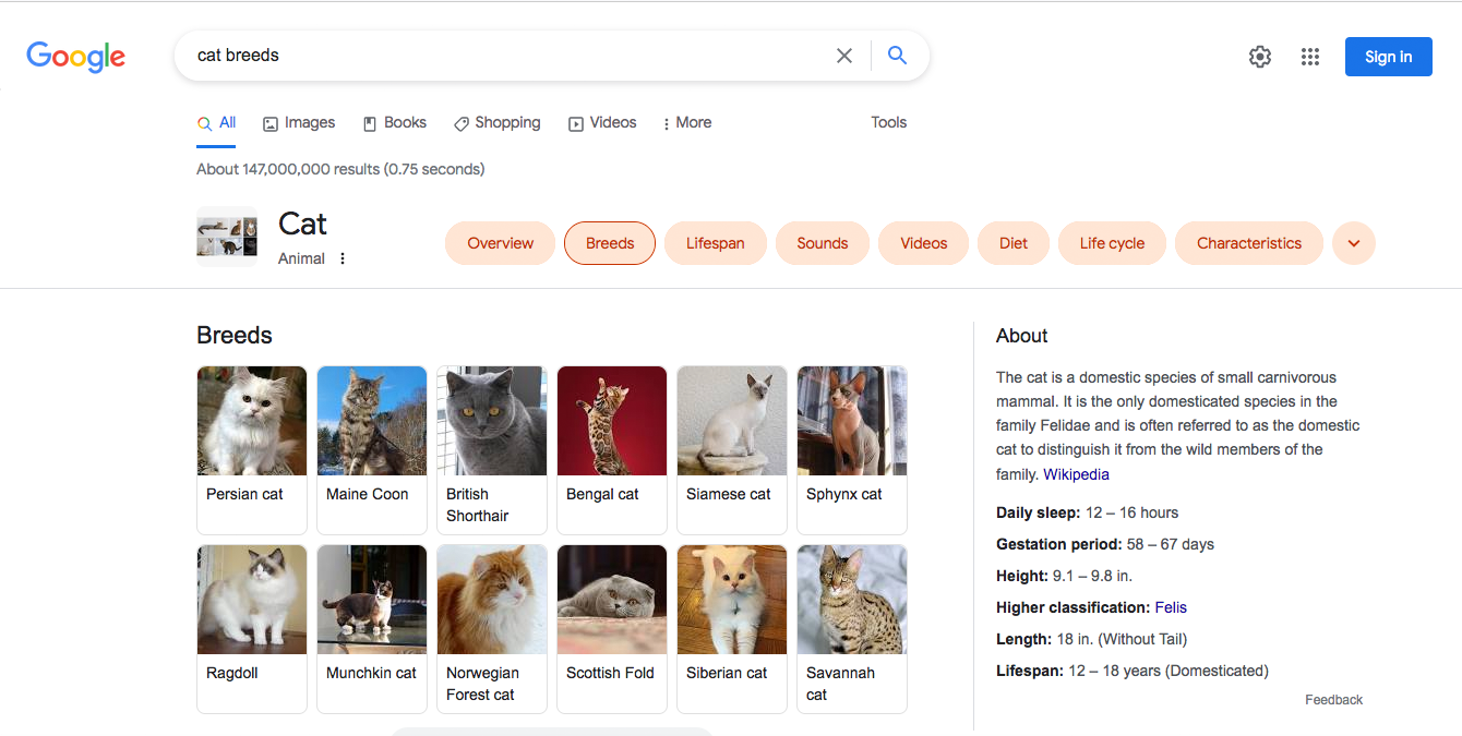 search for cat breeds