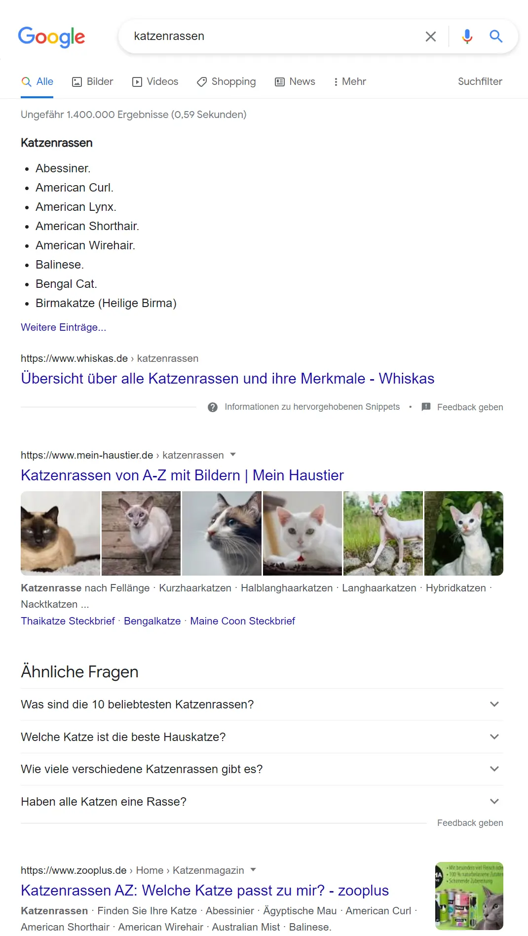 Google Suche katzenrassen