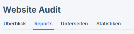 Tab Reports im Website Audit Bereich