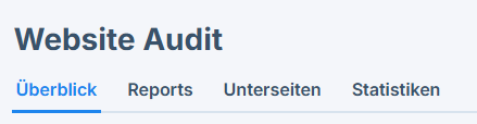 der Tab Überblick im Website Audit Bereich
