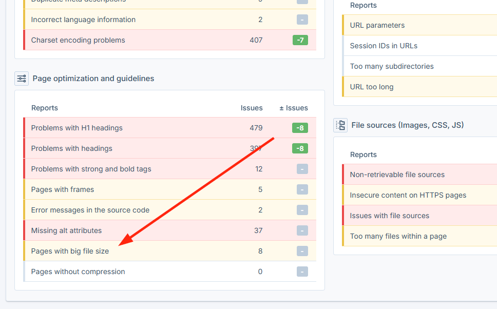 Seobilitys Website Audit report