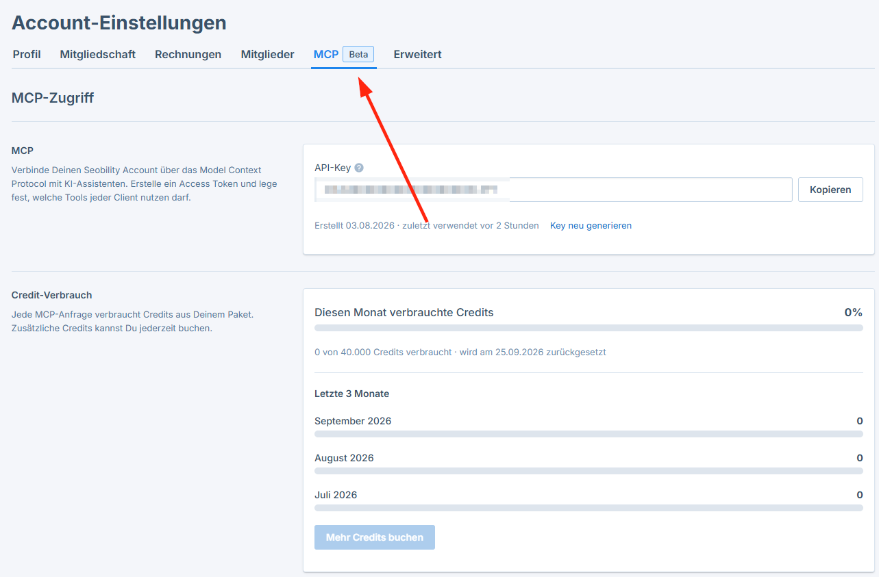 Seobility Account-Einstellungen im MCP-Tab mit dem API-Key und dem Credit-Verbrauch dieses Monats